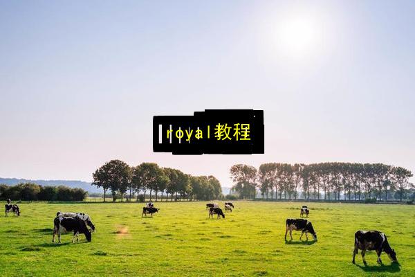 royal教程插图 文章配图