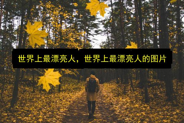 文章配图