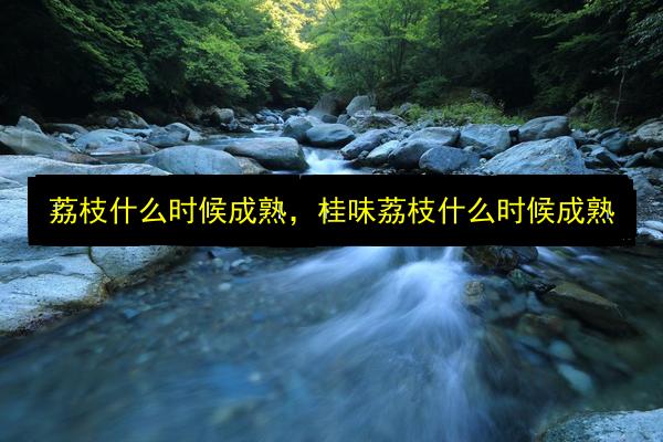 荔枝什么时候成熟,桂味荔枝什么时候成熟插图 文章配图