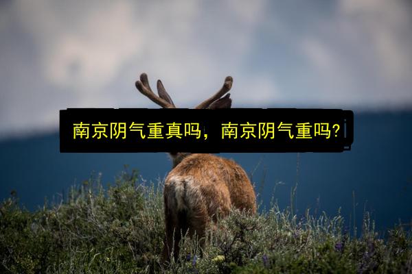 南京阴气重真吗,南京阴气重吗?插图 文章配图