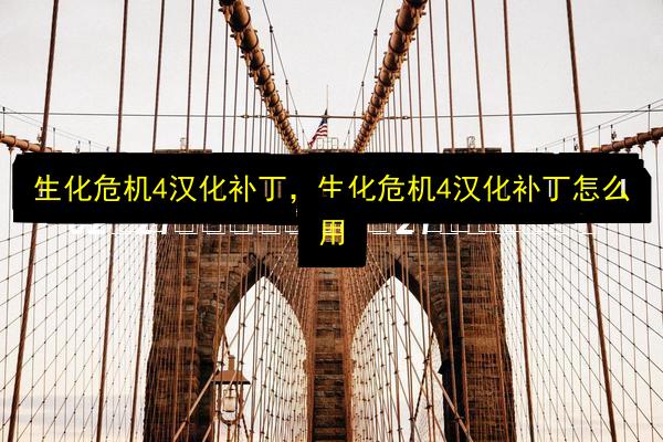 生化危机4汉化补丁,生化危机4汉化补丁怎么用插图 文章配图