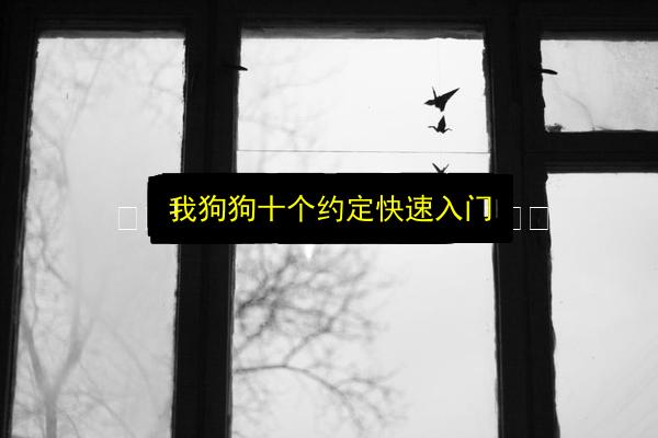 文章配图