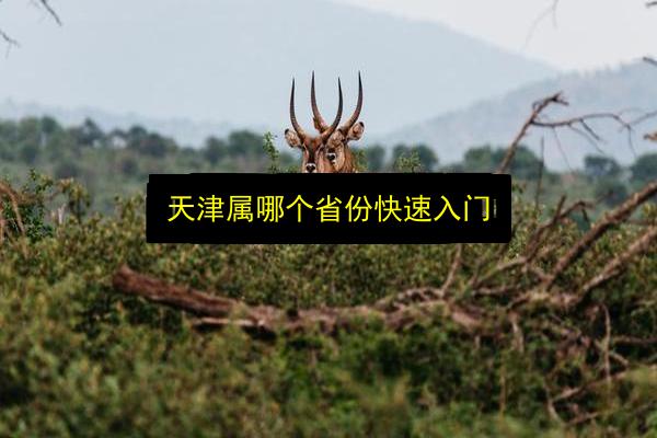 天津属哪个省份快速入门插图 文章配图