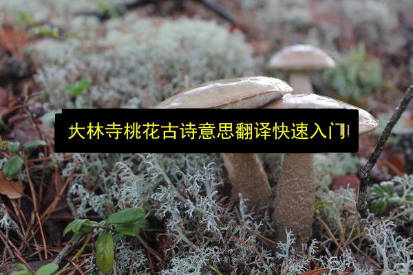 大林寺桃花古诗意思翻译快速入门插图 文章配图