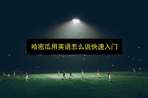 哈密瓜用英语怎么说快速入门插图 文章配图