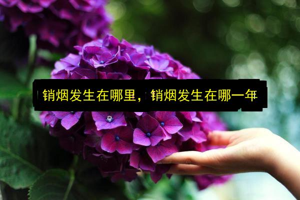销烟发生在哪里,销烟发生在哪一年插图 文章配图