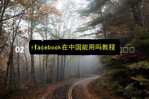 facebook在中国能用吗教程插图 文章配图