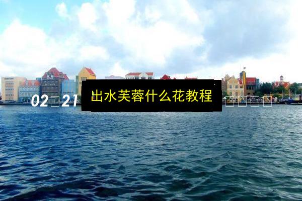 出水芙蓉什么花教程插图 文章配图