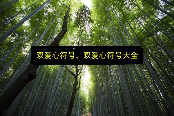 双爱心符号,双爱心符号大全插图 文章配图
