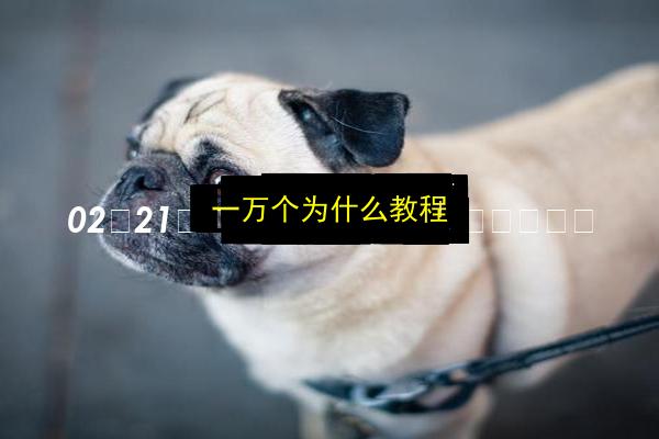 一万个为什么教程插图 文章配图