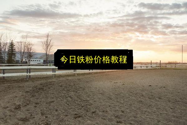 今日铁粉价格教程插图 文章配图