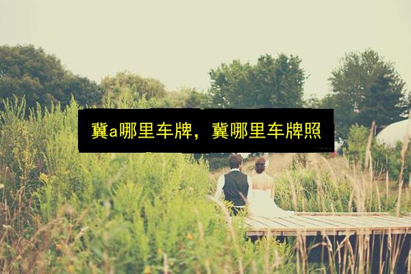 文章配图