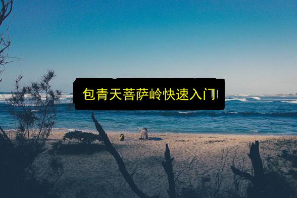 包青天菩萨岭快速入门插图 文章配图