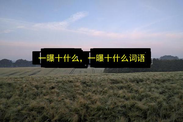 文章配图