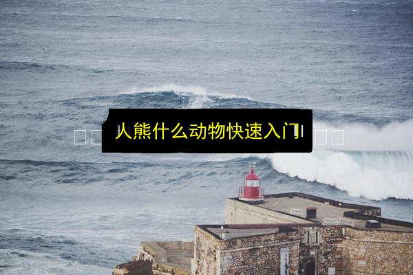 人熊什么动物快速入门插图 文章配图