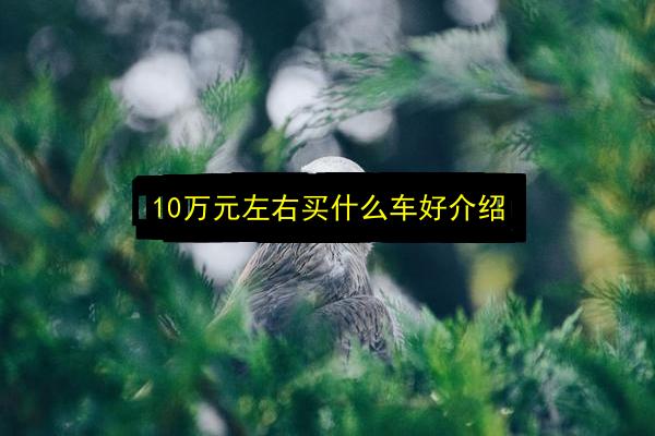 10万元左右买什么车好介绍插图 文章配图