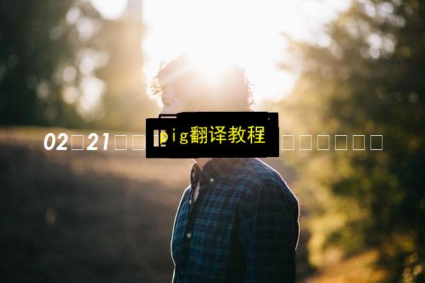 文章配图