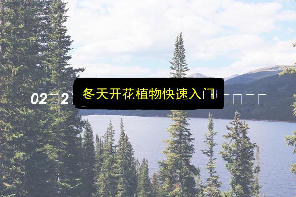 文章配图