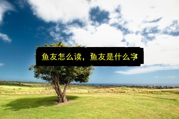 鱼友怎么读,鱼友是什么字插图 文章配图