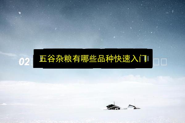 文章配图
