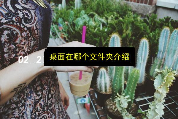 桌面在哪个文件夹介绍插图 文章配图