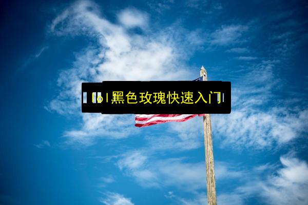 lol黑色玫瑰快速入门插图 文章配图