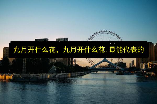 文章配图