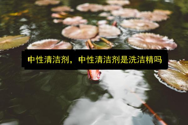 中性清洁剂,中性清洁剂是洗洁精吗插图 文章配图