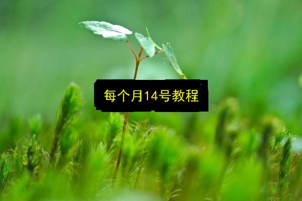 文章配图