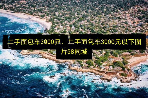 二手面包车3000元,二手面包车3000元以下图片58同城插图 文章配图