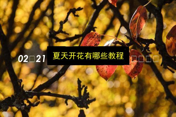 文章配图
