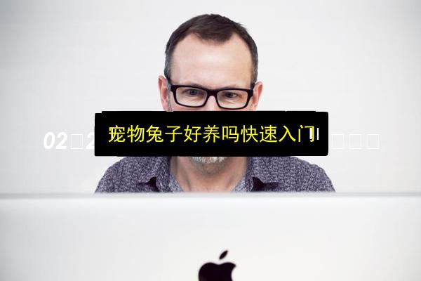 宠物兔子好养吗快速入门插图 文章配图