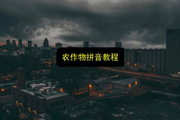 文章配图