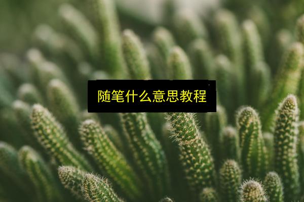 文章配图