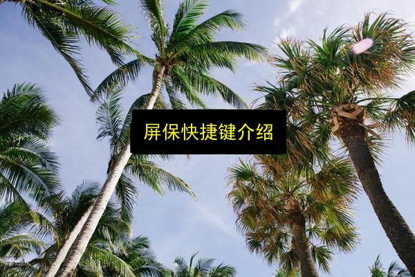 屏保快捷键介绍插图 文章配图