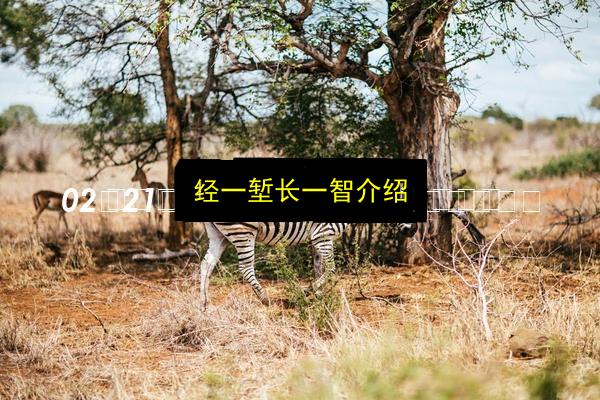 经一堑长一智介绍插图 文章配图