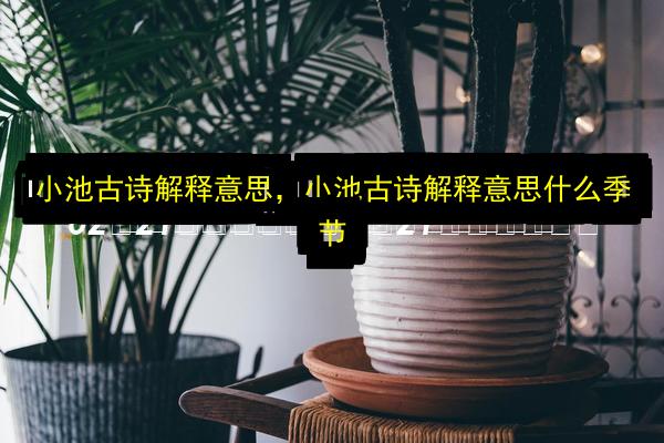 文章配图