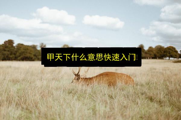 文章配图