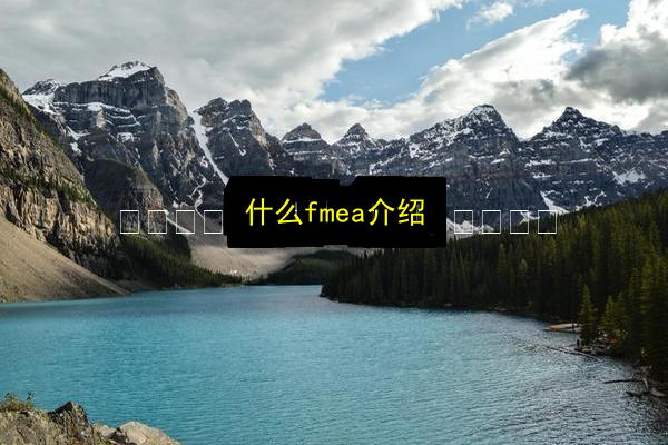 什么fmea介绍插图 文章配图