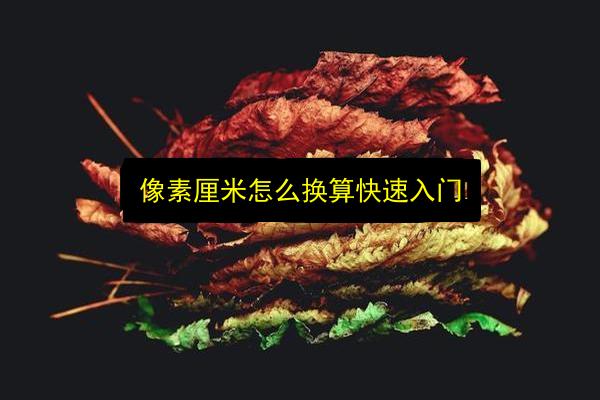 文章配图
