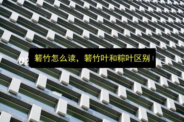 文章配图