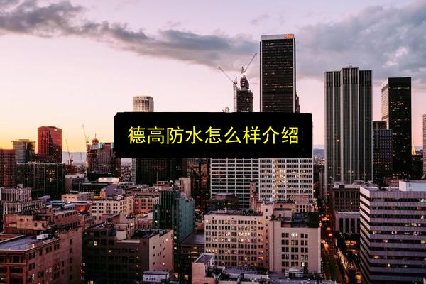 德高防水怎么样介绍插图 文章配图