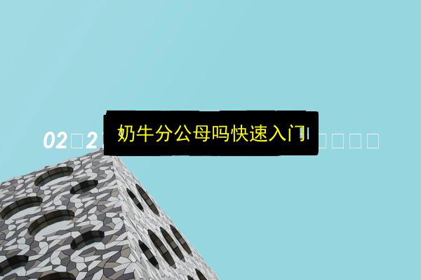 文章配图