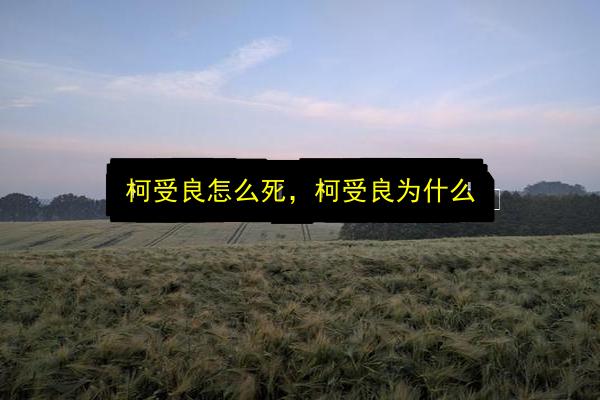 文章配图