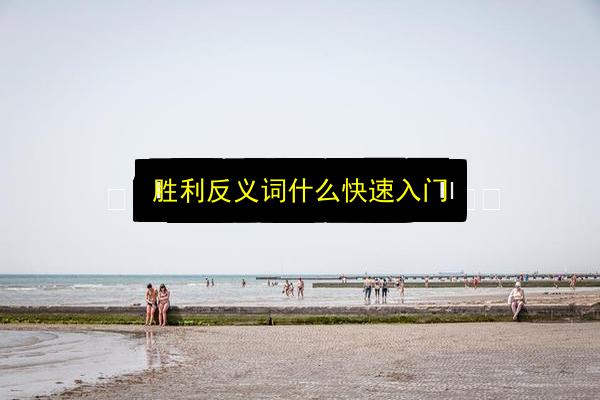 文章配图