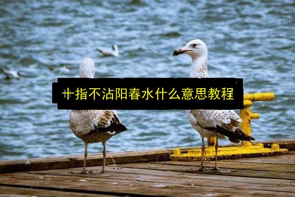 文章配图