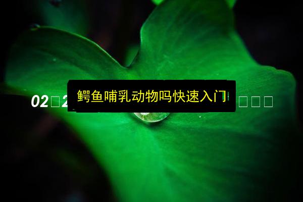 文章配图