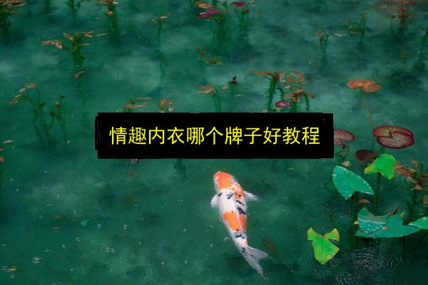 文章配图