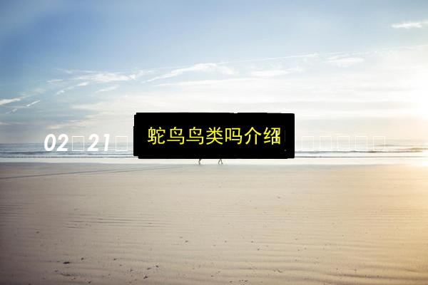 鸵鸟鸟类吗介绍插图 文章配图