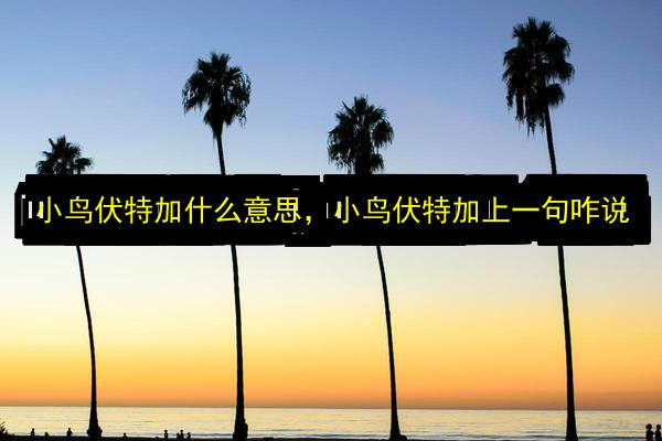 文章配图